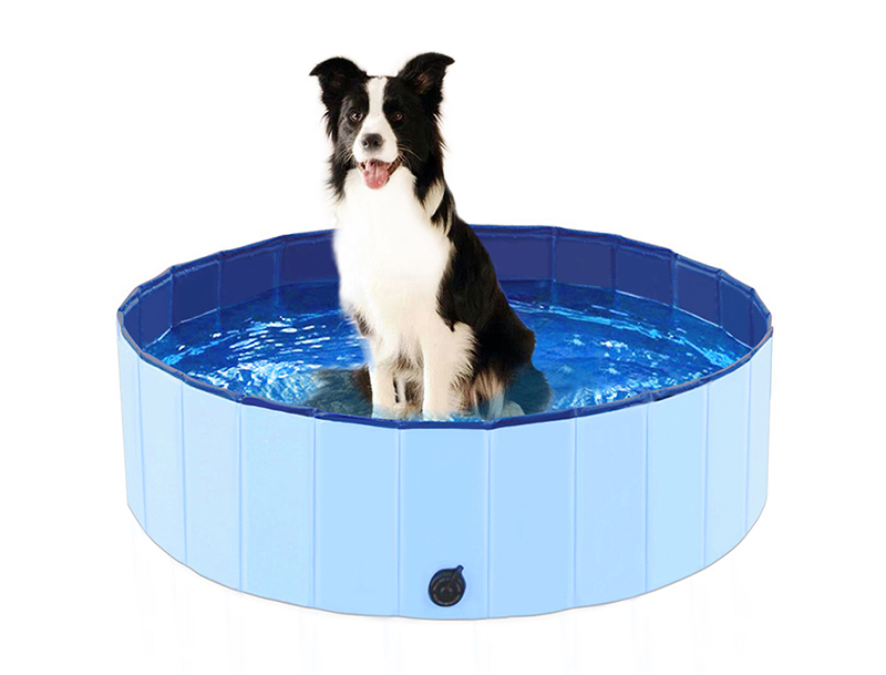 Dog Padding Pool